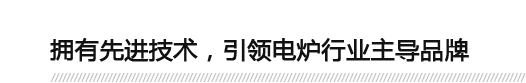 擁有先進技術(shù)，引領電爐行業(yè)主導品牌